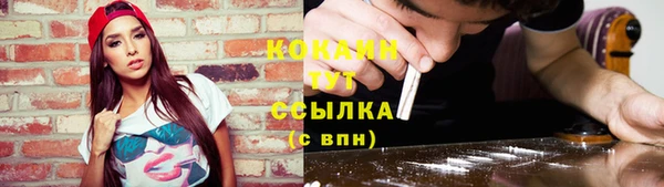сатива Абаза