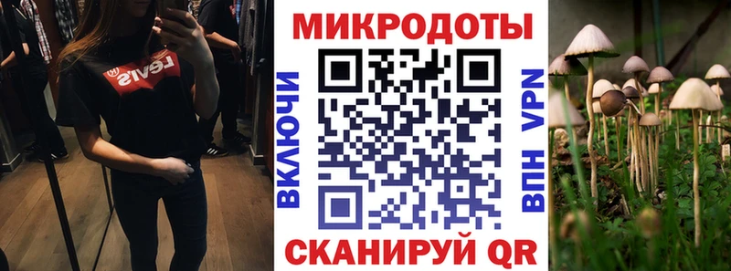Псилоцибиновые грибы Cubensis  цены наркотик  Когалым 