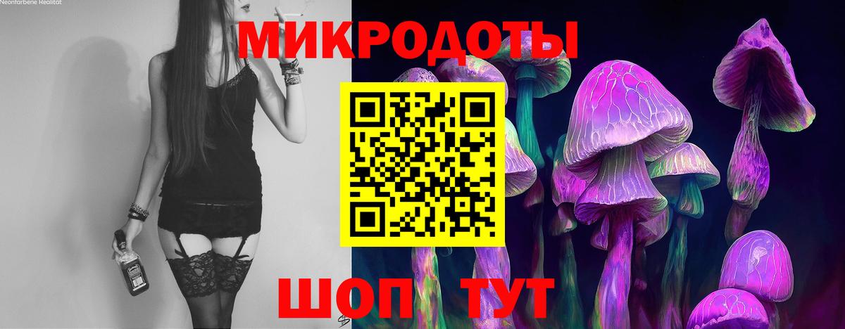 Галлюциногенные грибы мицелий Когалым
