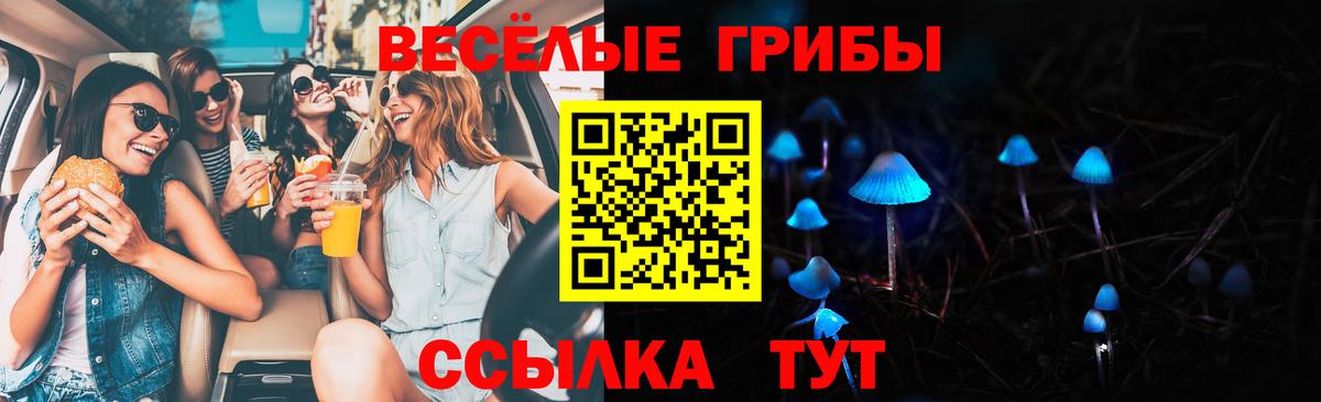 Когалым  Псилоцибиновые грибы Cubensis  Вход с VPN  Псилоцибиновые грибы Magic Shrooms 